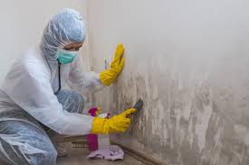 Best Forensic Mold Investigation  in Wilder, KY